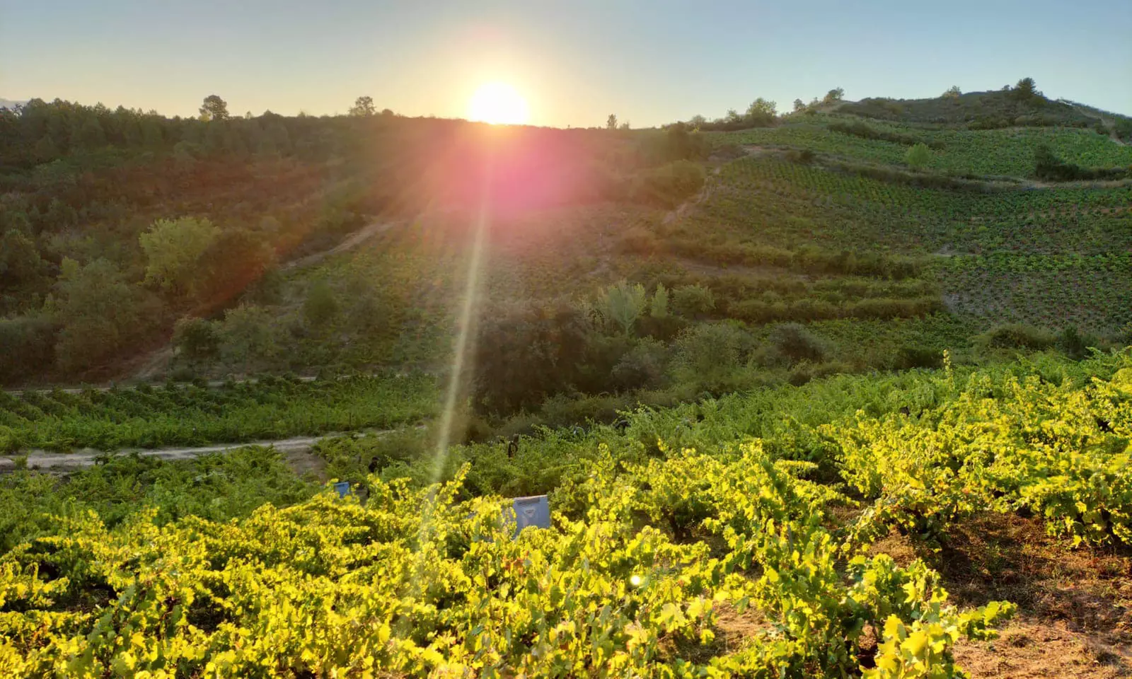 Alicante: 1 o 2 noches con opción a desayuno, masaje y late check-out