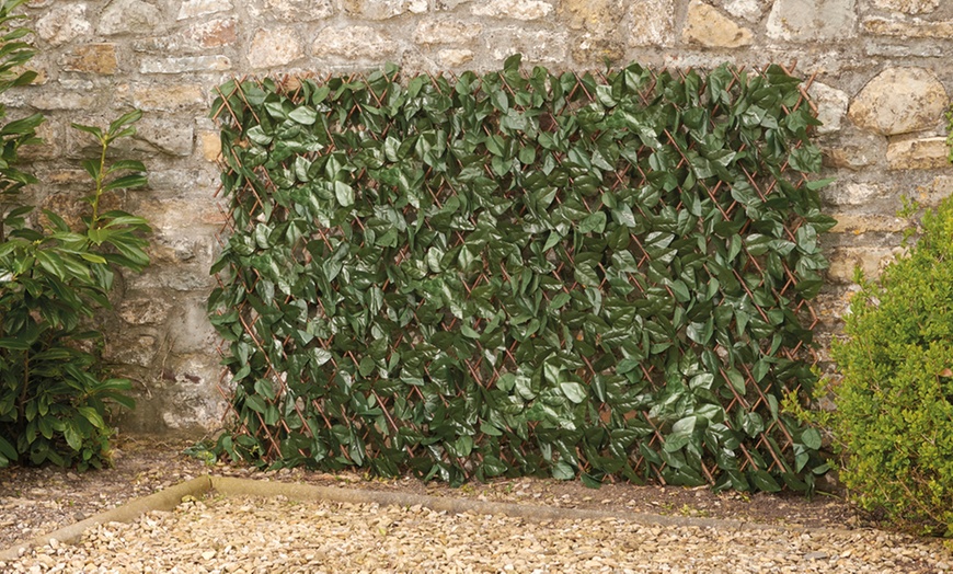 Image 4: Artificial Hedge Trellis