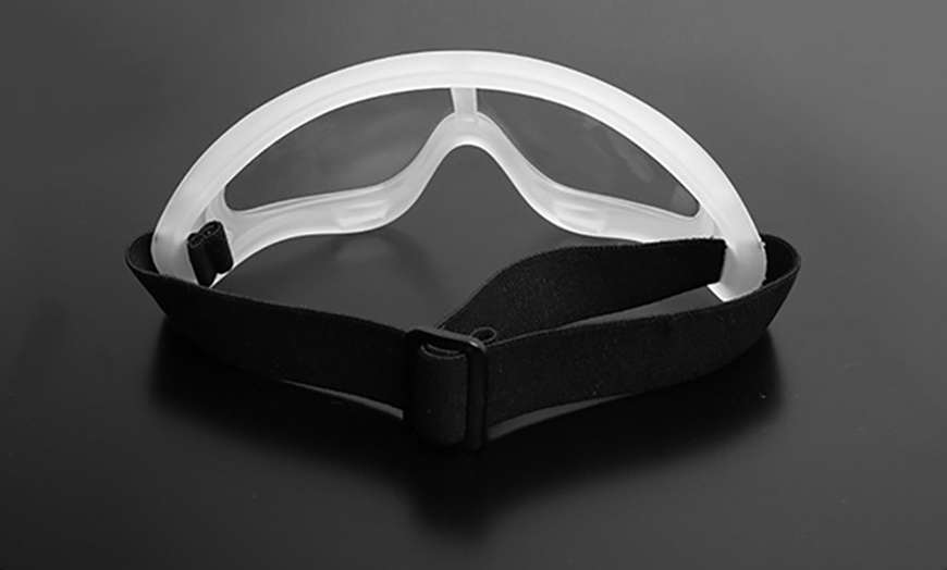 Image 21: Disposable Face Mask and Goggles