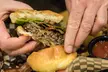 30% Cash Back at North Cove Bar and Grill - Second Medium