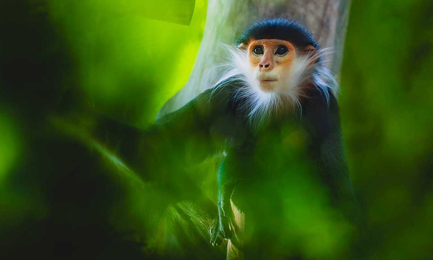 Image 6: Entrée au ZooParc de Beauval