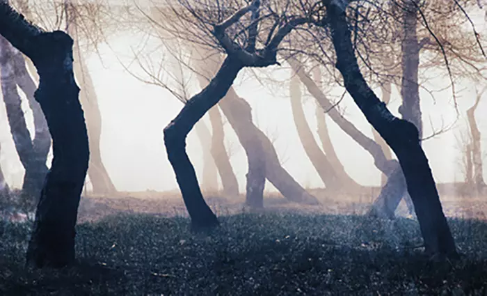 Experience a Haunted Trail Thru 10 Acres on October 18 or 19 with VIP Tickets and Parking Access (Up to 21% Off) - Primary Image