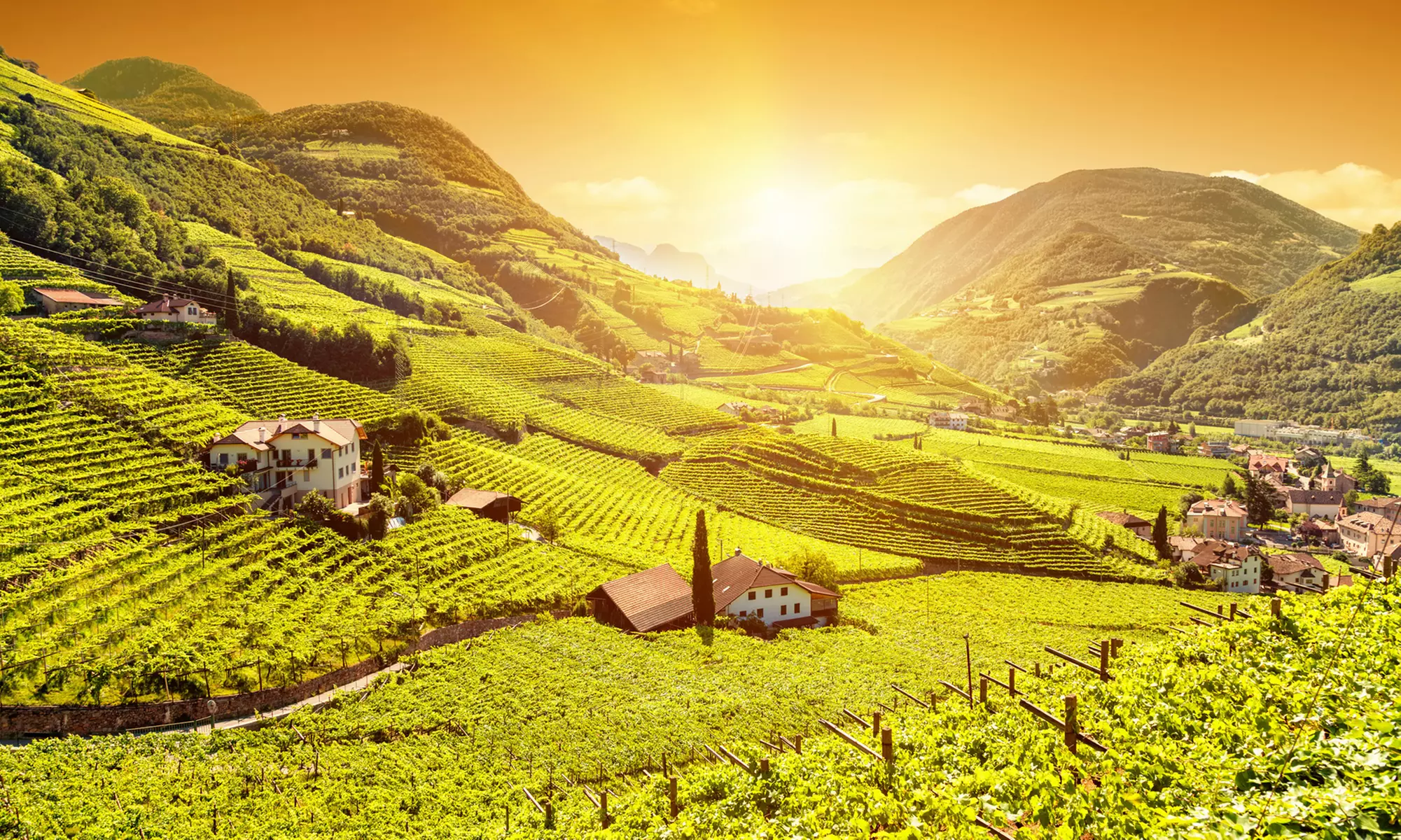 Italy Vacation with Rental Car. Price is per Person, Based on Four Guests per Room. Buy One Voucher per Person. - Primary Image