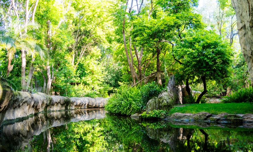 Image 10: ¡Descubre la selva en Valencia! Entrada para adulto o niño en Bioparc