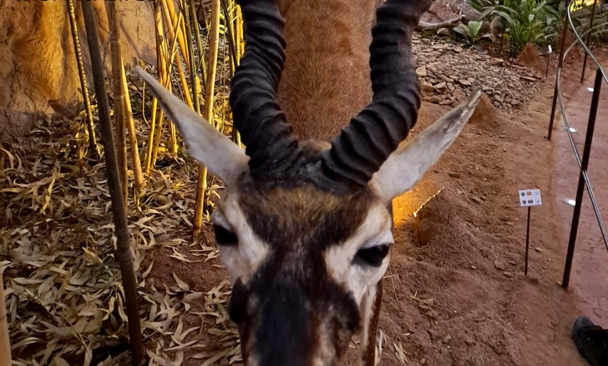 Image 35: Hasta 56% de dto. en CENTRO ANDALUZ DE LA FAUNA SALVAJE