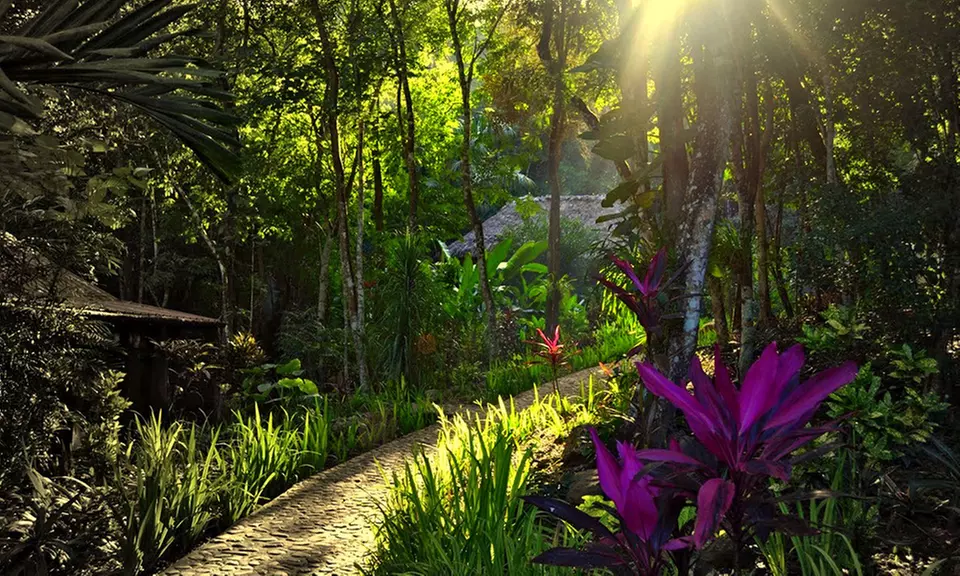 3- or 5-Night Stay for Two with Optional Daily Breakfast and Dinner in a Cabana at Table Rock Jungle Lodge in Belize - Primary Image