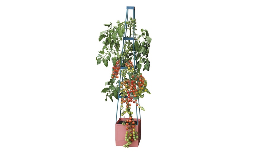 Image 2: Self-Watering Growing Tower