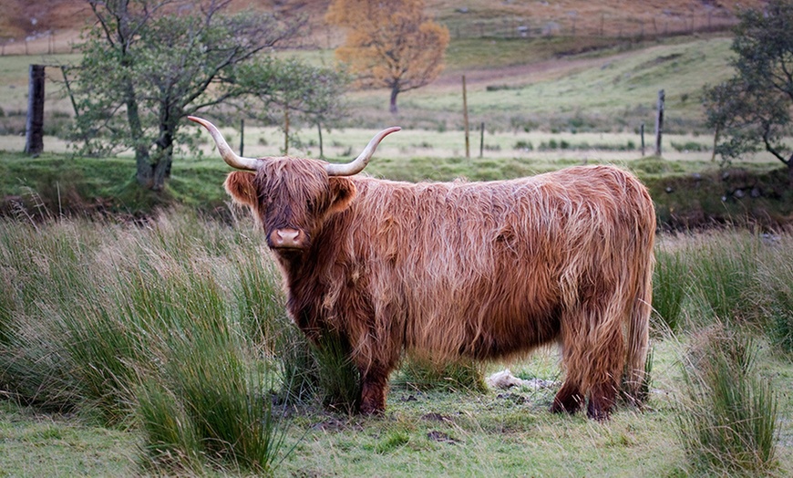 Image 7: Cottage Spa Break in Perthshire