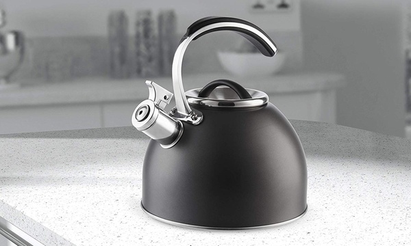 Morphy richards stove top sales kettle