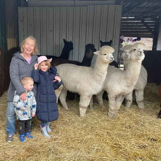 Up to 25% Off on Zoo - Petting at Greenhill Alpaca Trekking