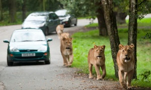 Liverpool: 1- or 2-Night Break with Knowsley Safari Park