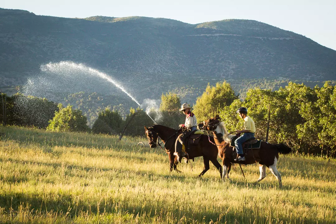 Exclusive 1 Hour Horseback Riding for Adults or Kids & Cowboy Cookout Options at Glenwood Adventure ( Up to 20% Off) - Primary Image