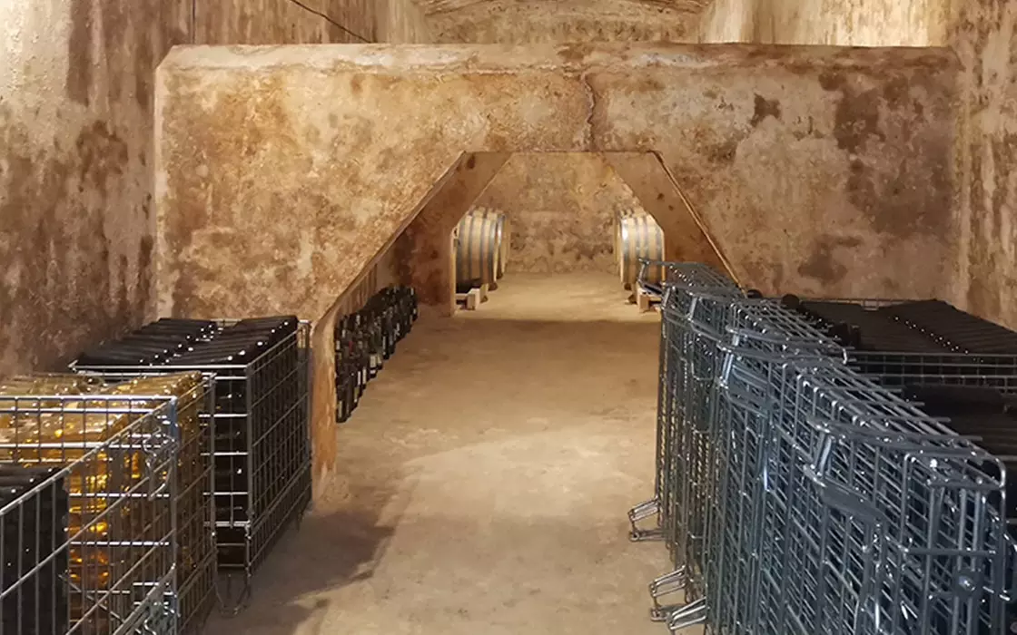 Visita a bodega más cata en Besalduch Valls And Bellmunt