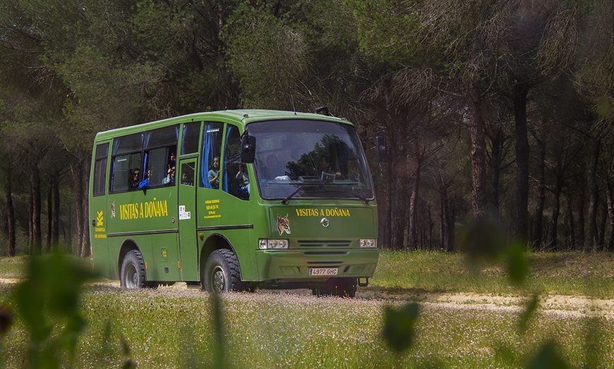 Image 7: Visita guiada al Parque Nacional de Doñana en 4x4 para adulto o niño