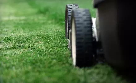 Landscaping Services from Above and Beyond Landscaping. Four Options Available.  - Primary Image