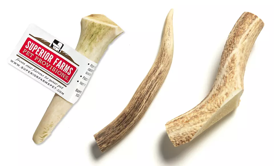 100% Natural Venison Antler Dog Chews. Multiple Sizes Available from $4.99–$11.99. Free Returns. - Primary Image