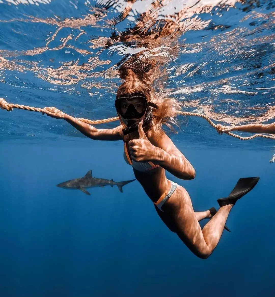 Up to 24% Off on Shark Diving at Hawaii Adventure Diving