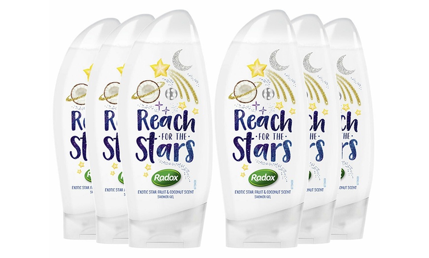 Image 19: Radox Shower Gels 250ml