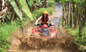 Bali: Quad Bike Ride