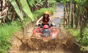 Bali: Quad Bike Ride