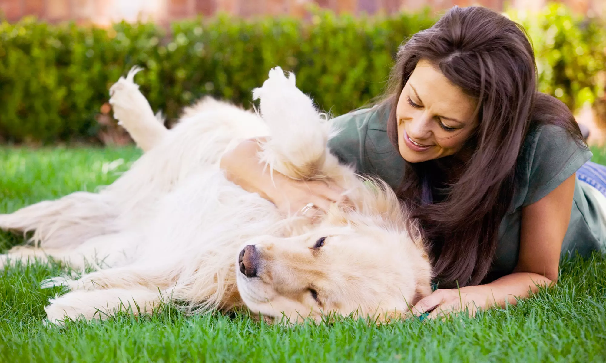 One Month of Weekly Dog Waste Removal Services for One, Two, or Three Dogs from Call A Dootie (Up to 54% Off) - Primary Image