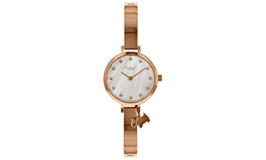 Groupon on sale radley watch