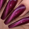 Image 4: Up to 48% Off on Nail Salon - Manicure at shelly Beauty Studio