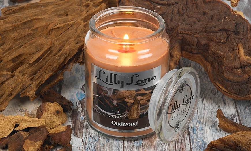 Image 24: Two Lilly Lane Scented Candles