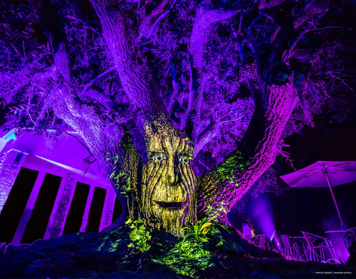 Up to 14% Off Admission to NightGarden Miami- A Magical Light Spectacular (Visit Now, Through January 20th, 2024)   - Primary Image