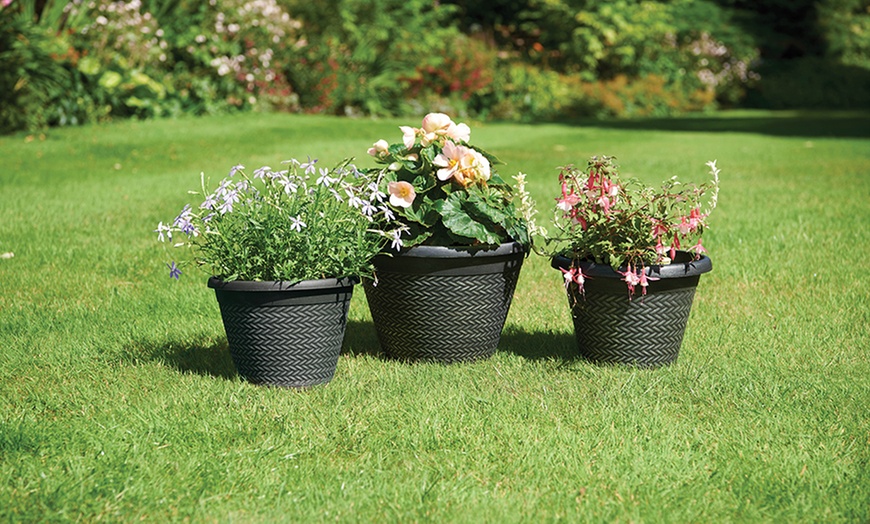 Image 4: Greenhurst Planters