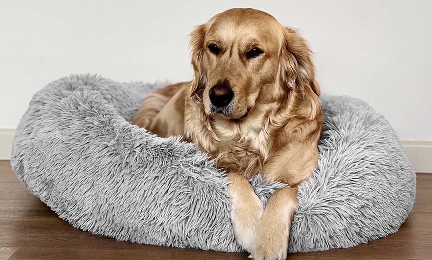 Image 16: Niches, Paniers en tissu peluche pour Chiens et Chats Souples, Antidérapantes et facilement Lavables