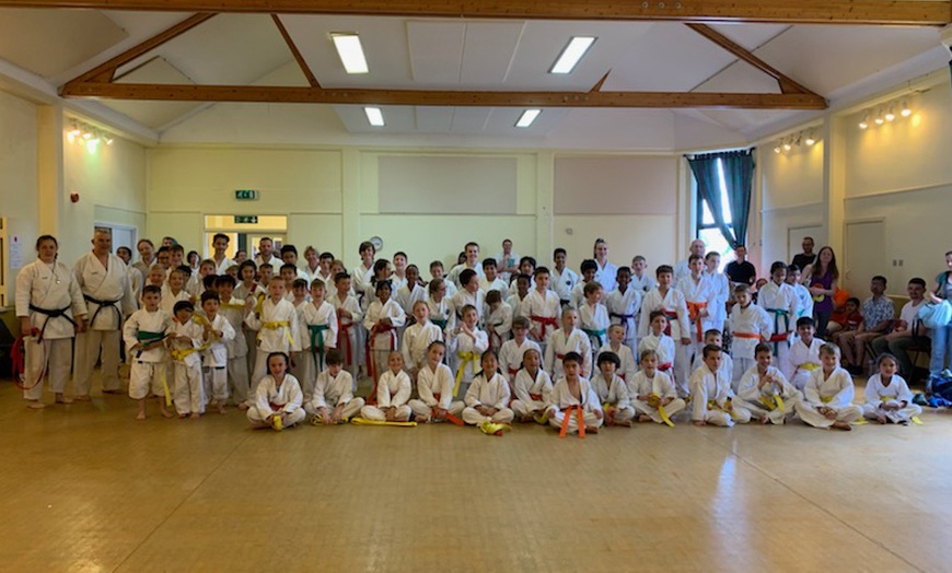 Image 2: Three-Month Karate Trainings