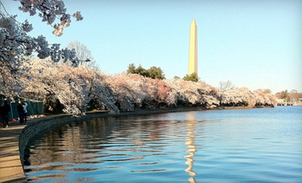 2.5- or 4-Hour Photography Walking Tour from PhotoTour DC - Primary Image