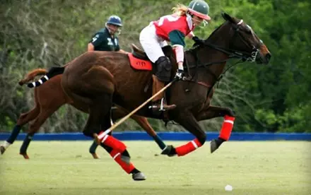 $10 for One General-Admission Ticket to The Houston Polo Club ($20 Value) - Primary Image