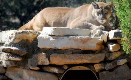 Nature-Park Outing for Two or Four at Wildlife West Nature Park in Edgewood (50% Off)  - Primary Image