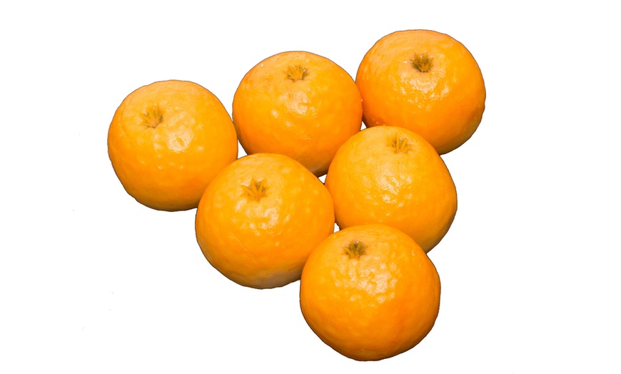 Image 3: Marzipan Satsumas