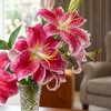 Image 13: Graduation Flower Bulb Collections