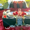 Image 8: Unforgettable Luxury Picnics with Personalized Touch