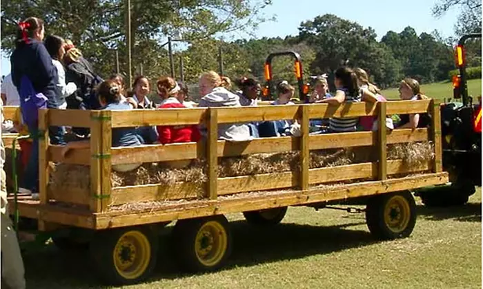 Family Farm Fun with Corn Maze, Pumpkin Patch, Hay Rides & More