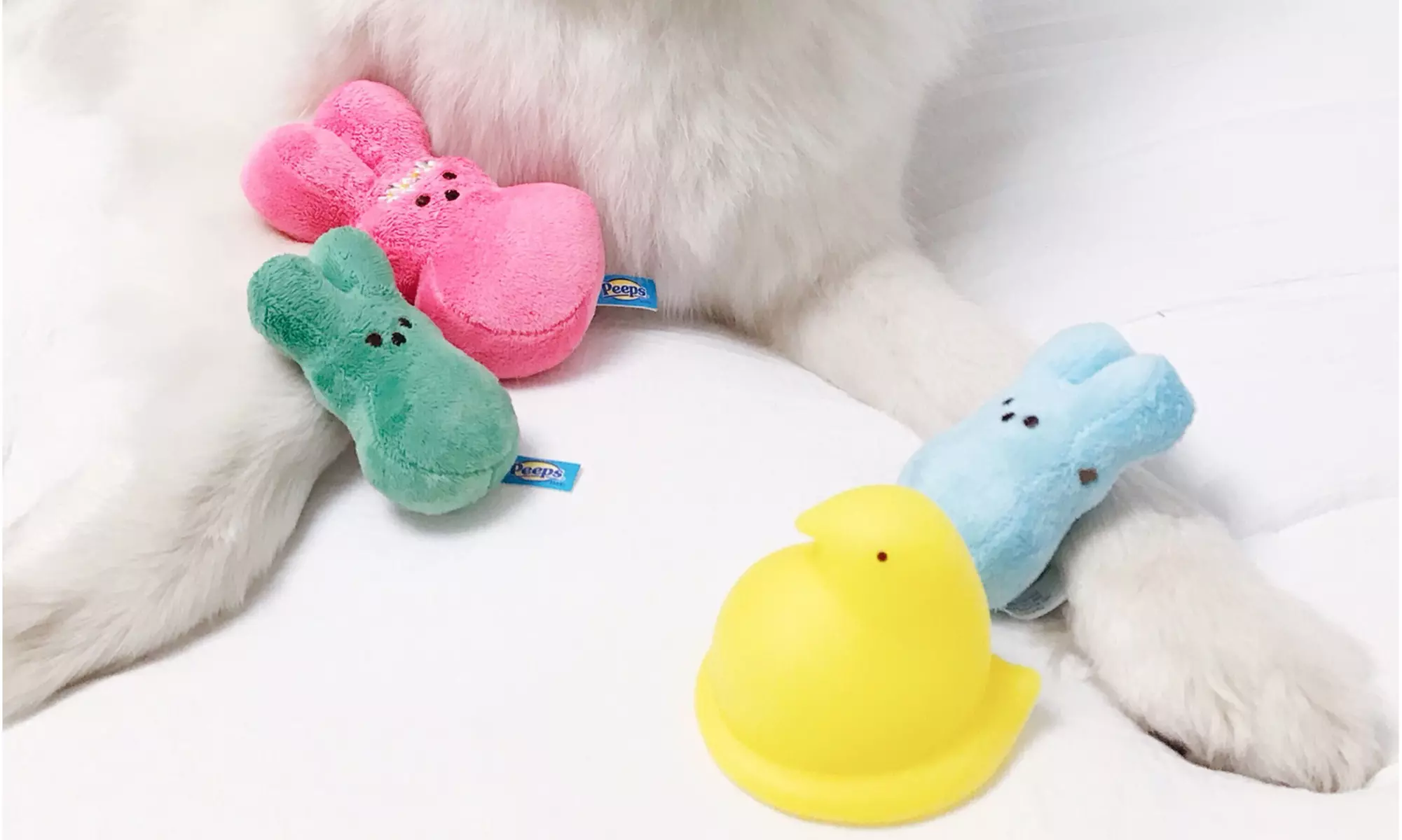 Peeps for Pets Plush & Vinyl Squeaky Toys for Dogs (3-, 4- or 6-Pack). Multiple Options Available. - Primary Image