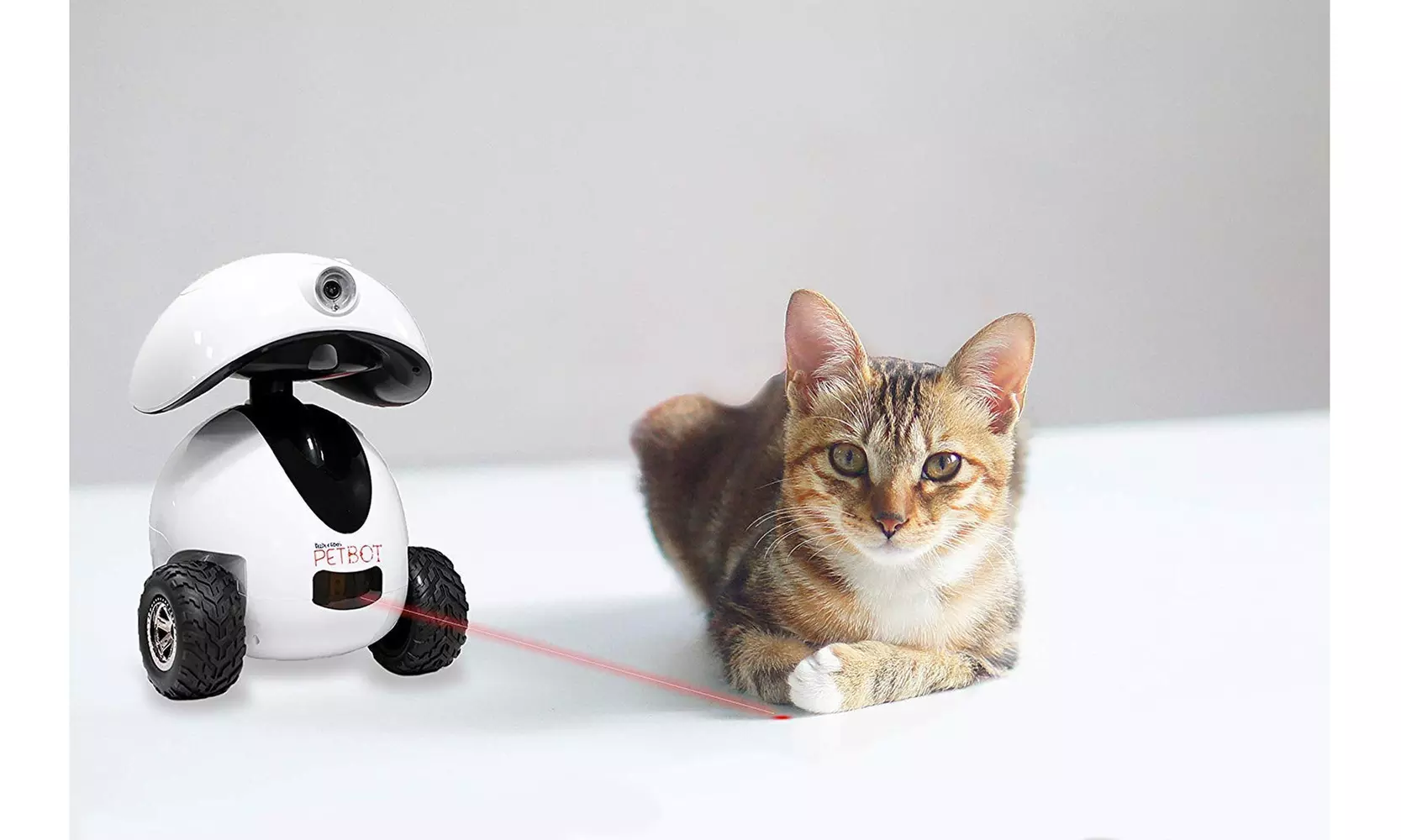 Felix & Fido Petbot App-Controlled Interactive Robot - Second Medium
