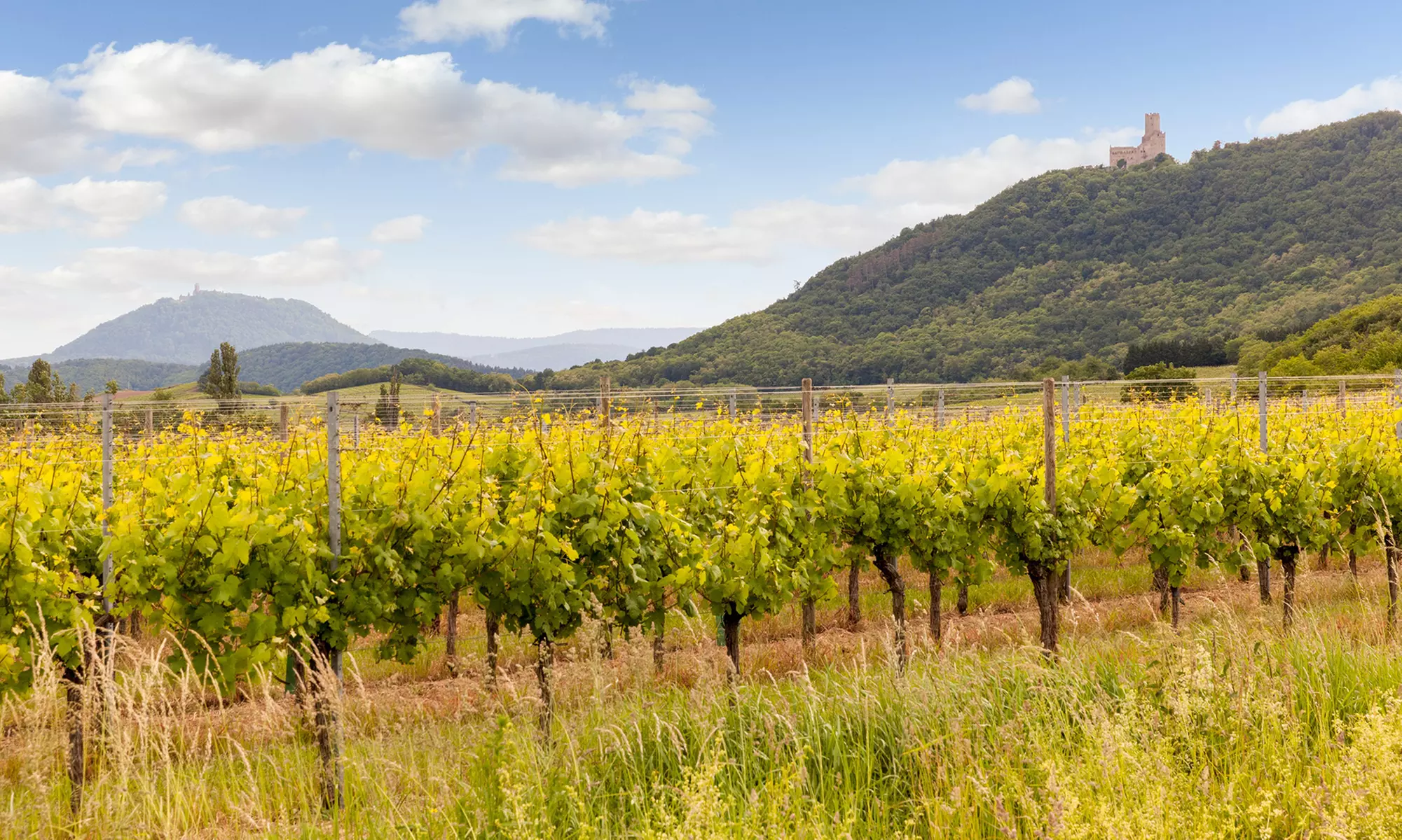 Alsace : chambre double avec petit-déjeuner, kir et menu en option