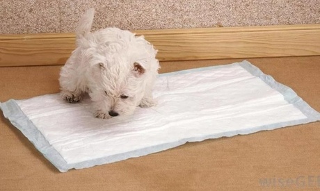 1 o 2 confezioni di traversine per cuccioli