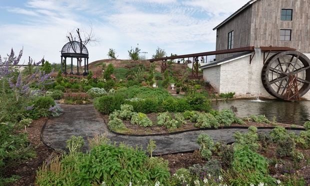 What to expect media