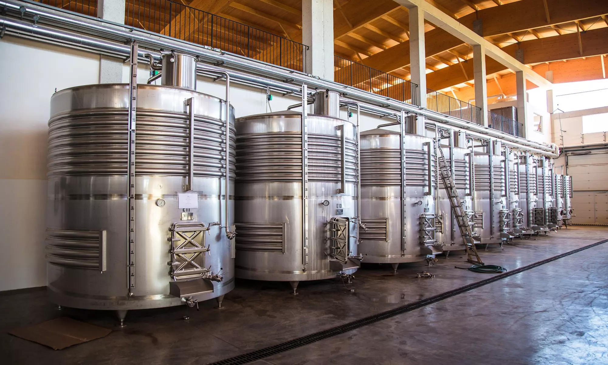 Visita guiada y cata de vinos para 2 o 4 personas