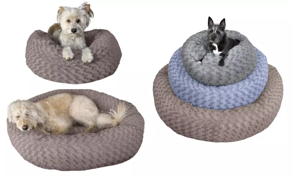 Furhaven Deep Dish Curly Fur Plush Donut Dog Bed  - Primary Image