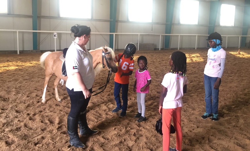 Image 5: Private Horse Riding Lesson