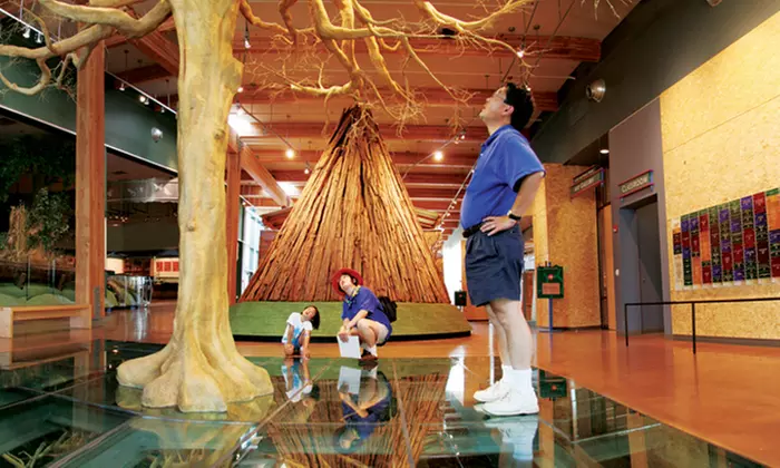 $49 for One-Year Family Membership for New Members to Turtle Bay Exploration Park ($80 Value)  - Primary Image