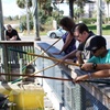 Image 6: Enjoy Mini-Golf For One, Two, Three, or Four; and Play Among Live Gators (Up To 55% Off)
