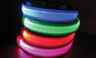 image for LED Safety Pet Collar